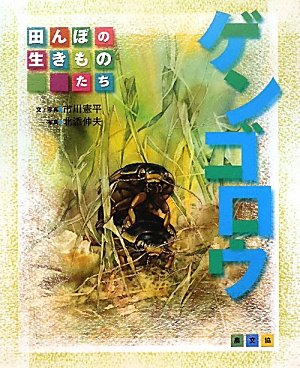 図説　日本のゲンゴロウ 図説日本のゲンゴロウ | 森 正人, 北山 昭 |本 | 通販 | Amazon