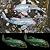 Tooyuart Garden Sculptures & Statues,Koi Fish Decor,Garden Fish Art,Set of 2 Antique Koi Fish Yard Art Decor for Outdoors,Patio,Yard,Lawn,Pond,Home Decoration (Bronz)