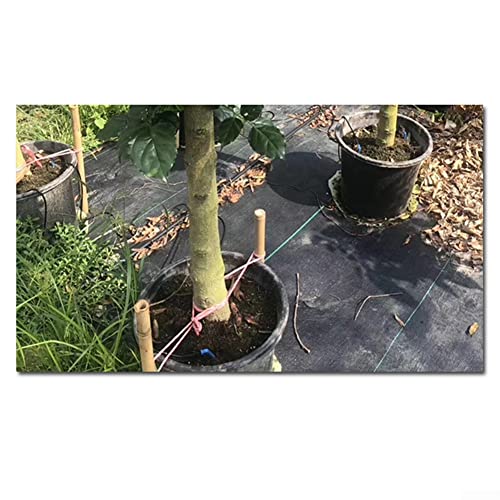 50 Stück Bewässerungs-Tropfer-Sprinkler, 3/5 mm Schlauchpfeil Tropfbewässerung Strahler Mikro-Tropfer-Sprinkler Tropfen