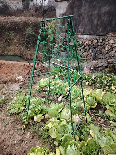 image for 7Queen Cucumber Trellis Garden Trellis Arch Trellis, Tall Metal Trelli