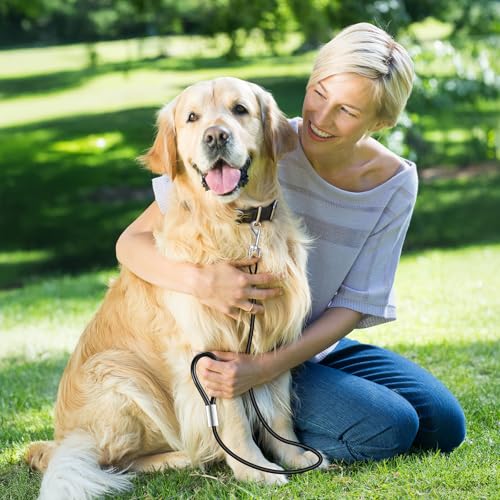 JIEYAO 2 Stück Kausichere Hundeleine,66cm/26in Tie-Out Leinen für Hunde,Hundekette Leine Bissfest Metall Kabel Leine mit Gepolstertem Griff Kettenleine für Große Kleine Hunde Training