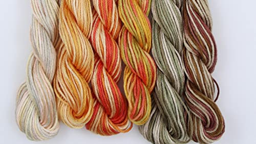 Image of KCS Big skeins of 25 Meters Size 25 Color Variegated Cross Stitch Stranded Threads,6 skeins,13
