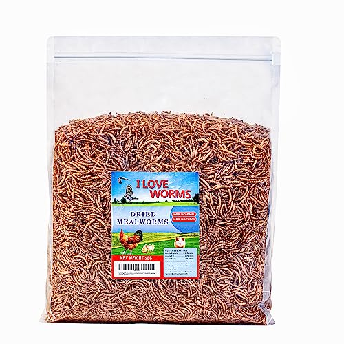 I LOVE WORMS Dried Mealworms (5lb), Wild Bird Food, High-Protein Mealworms for Bluebirds, Chickens, Ducks, Reptile, Tortoise, Amphibian, Lizard