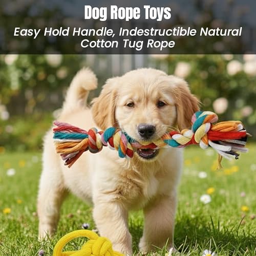 Image of Dog Rope Toys for Large /Medium Aggressive Chewers Tough Rope Chew Toy with Easy Hold Handle, Indestructible Natural Cotton Tug Rope (Rope Dog Toy Set - 3)