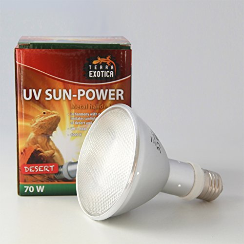 Terra Exotica UV Sun-Power Desert Metalldampflampe 35Watt, 50Watt oder 70 Watt – Terrarium UVB & Wärmestrahler | Intensives Tageslicht & hoher UVB-Anteil für Wüstenreptilien (50, Watt)