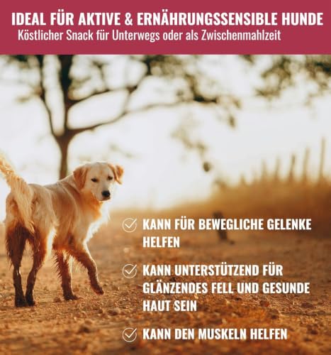 RiNa Kaustange für Hunde 100% Kabeljau- und Lachshaut, Fischsnack 80 g