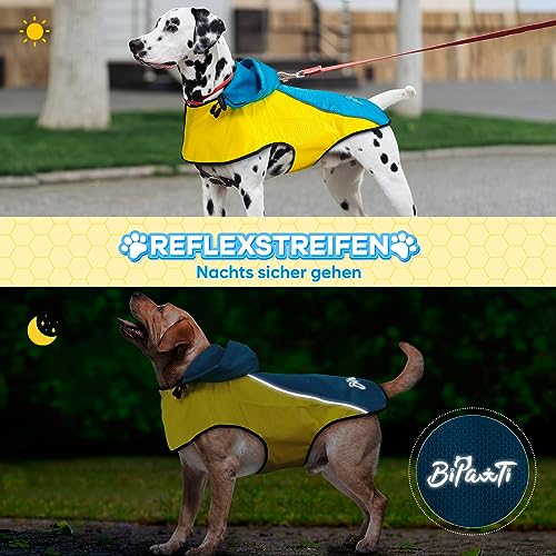 DQGHQME Hunderegenmantel: Wasserdichter Ultraleichter Reflektierender Mantel für Große, Mittlere und Kleine Hunde (XL)