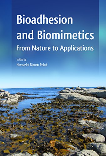 Bioadhesion and Biomimetics: From Nature to Applications