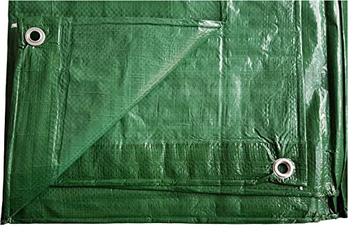 3m x 3m royal green waterproof tarp,tarpaulin cover up ground sheet