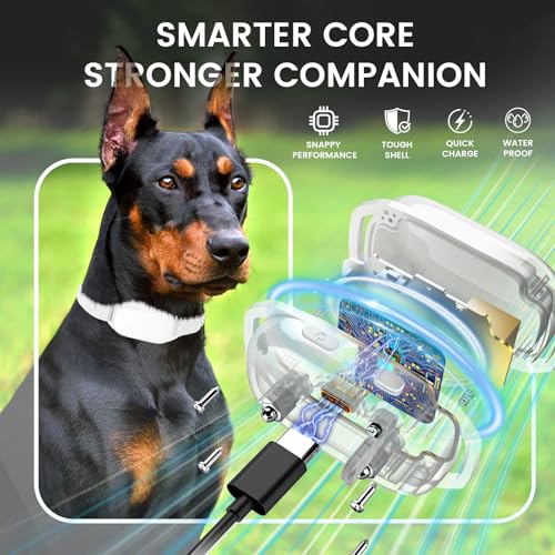Dog Bark Collar - Rechargeable Remote Anti-Bark Training Collar with Beep/Tactile Modes, 16 Sensitivity Levels, 3300Ft Range, 2-Channel Memory - Humane for All Dog Breeds