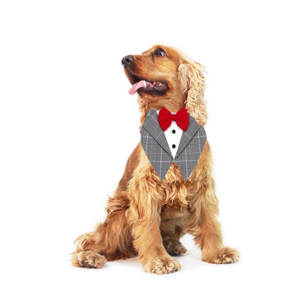 Dog-O-Bow Grey Check Tuxedo Vest Bandana for Dogs and Cats (Small) (B0D1MXZDP6) Amazon Price History, Amazon Price Tracker