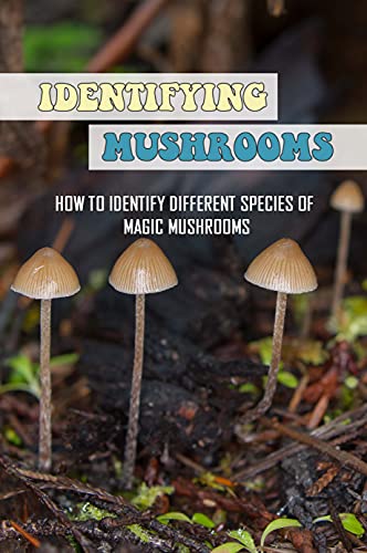 Identifying Mushrooms: How To Identify Different Species Of Magic Mushrooms: Havesting Of Mushrooms