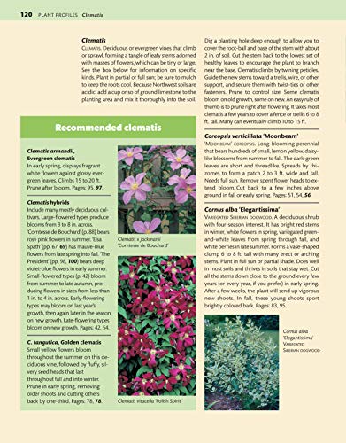 Northwest Home Landscaping, 3rd Edition: Including Western British Columbia (Creative Homeowner) 48 Designs with Over 200 Plants & Flowers Best Suited to the Pacific Northwest: WA, OR, and BC, Canada - Image 10