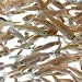 Toledo Goldfish Live Rosie Red Minnows for Ponds, Aquariums or Tanks - USA Born and Raised - Live Arrival Guarantee (Small, 100 Fish)