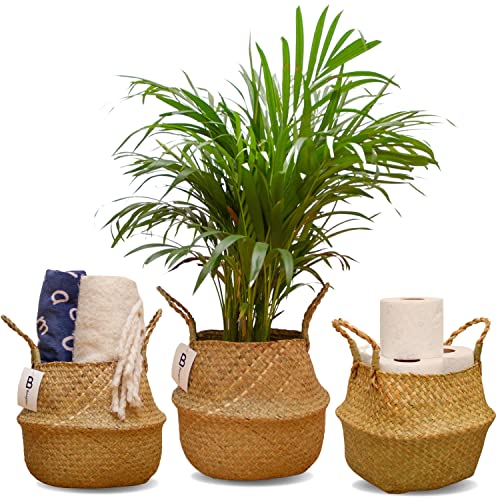 B Beugüen Cesta Mimbre - Maceteros Decorativos Interior - Cestas Almacenaje de...