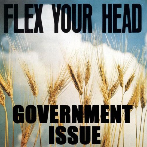 Amazon.co.jp Flex Your Head Government Issue デジタルミュージック