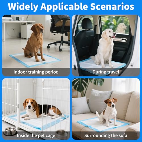 Foydream 100 Stück Trainingspads für Hunde, 60X60 cm PIPI Matten für Welpen, Unterlagen Baby mit 6 Schichten Leckage Design, Die Oberflächen Schnell Trocknen Können und Haustiere Trainieren