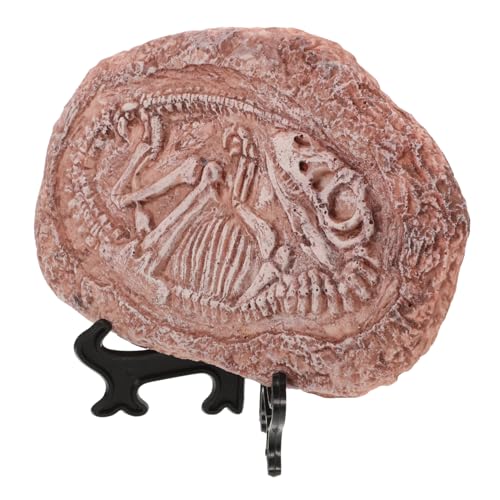 LIOOBO Paleontological Trilobites Dinosaur Fossil Decors Resin Dinosaur Fossil Resin Simulated Animal Specimen Stone Dinosaur Fossil Faux Dinosaur Specimen Fossil Terrarium Decors Props