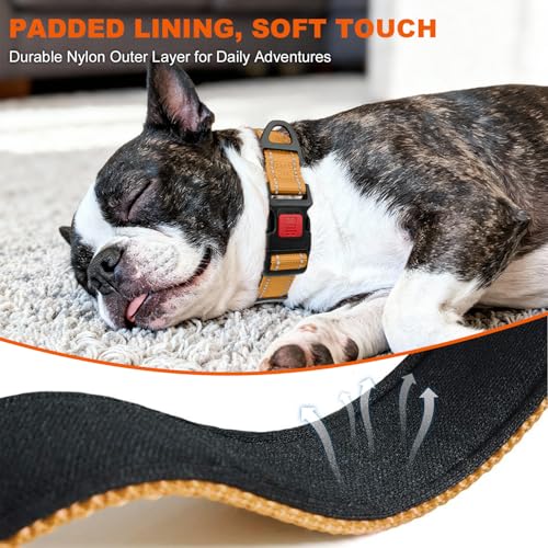 Taglory Hundehalsband, Weich Gepolstertes Neopren Nylon Hunde Halsband für Kleine Hunde, Verstellbare und Reflektierend für das Training, Braun