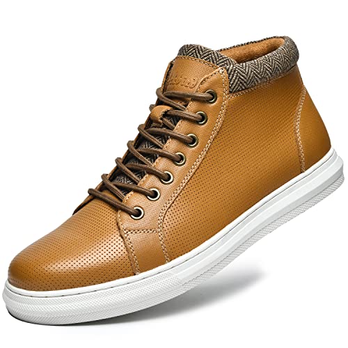 Arkbird Y U[Xj[J[ t@bV NVbN JWA `bJANu[c jp, CG[|[X(551), 7