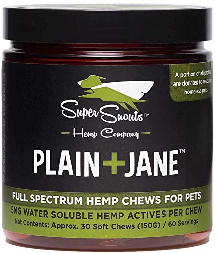Super Snout Plane Jane 30 Soft Chews Grain Free
