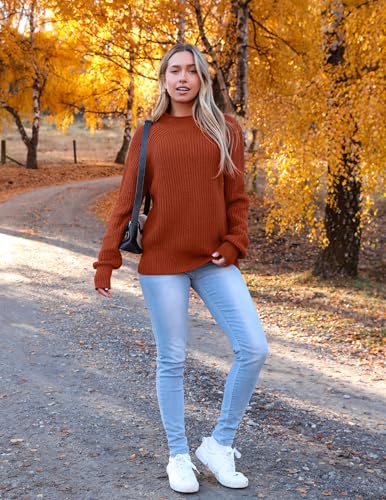 Zeagoo Women's 2025 Fall Turtleneck Sweaters Trendy Loose Long Sleeve Knit Pullover Jumper Tops4