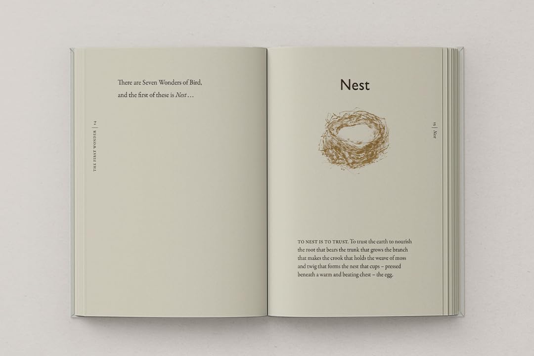 The Book of Birds: The #1 Sunday Times bestseller from the authors of award-winning phenomenon The Lost Words