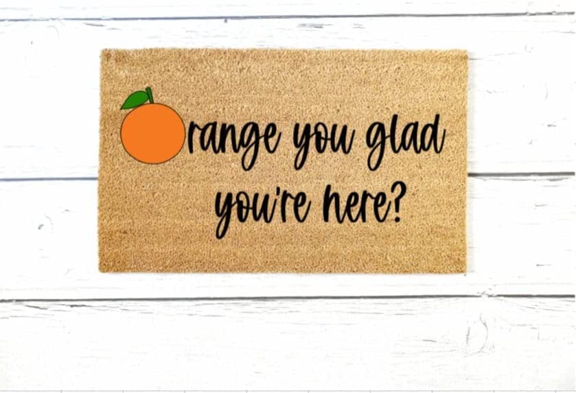 Orange You Glad Doormat,Housewarming Gift,Birthday Gift,Funny Doormat,Cute Doormat,Non Slip Floor Mat for Home Bathroom Kitchen Entrance 24X16 Inch