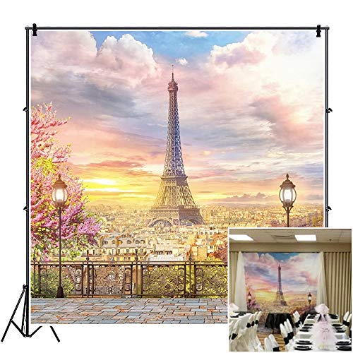 Best Deal CSFOTO 8x8ft Eiffel Tower Backdrop Balcony Overlook Paris Streetscape Wedding Background Valentine's Day Backdrop Wedding Ceremony Decor Banner Children Girls Lover Vacation Photo Wallpaper Best Deal CSFOTO 8x8ft Eiffel Tower Backdrop Balcony Overlook Paris Streetscape Wedding Background Valentine's Day Backdrop Wedding Ceremony Decor Banner Children Girls Lover Vacation Photo Wallpaper