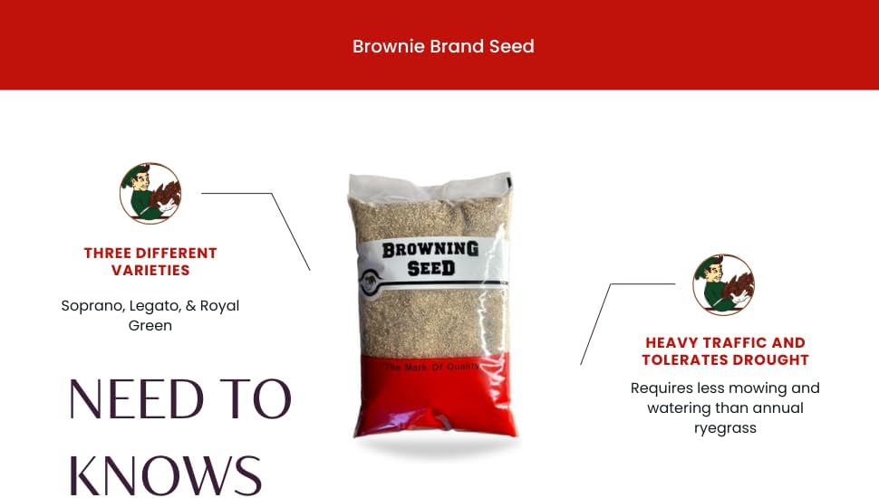 Brownie Brand Perennial Ryegrass Blend 5LBS (Seed)