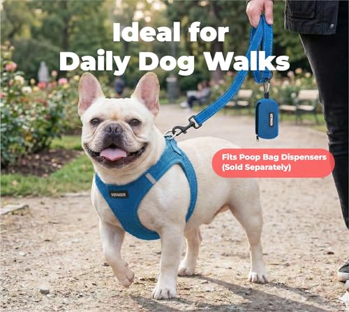 Image of Best Pet Supplies Voyager Reflective Dog Leash or Collar with Neoprene Handle, for Small, Medium, and Large Breed Puppies, Cute and Heavy Duty for Walking, Running and Training - Royal Blue (Leash), L