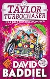 David Baddiel 4 Book Collection Set (Birthday Boy, Taylor Turbochaser, Accidentally Famous, Head Kid) - Image 3