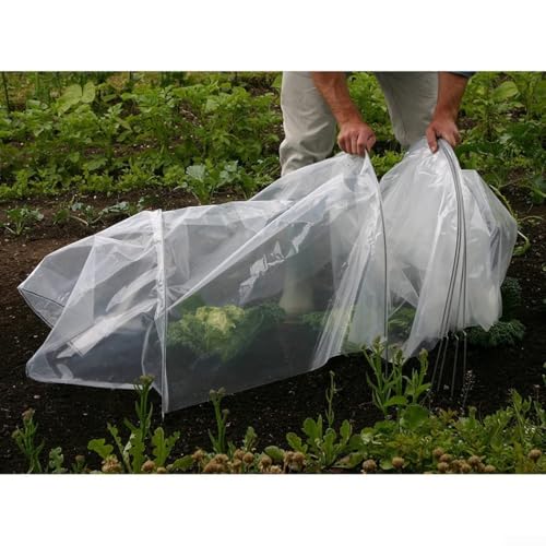 Greenhouse Tunnel Foil Plastic Horticultural Cover Low Density Polyethylene Sheet for Plant for PROTECTION (2.5 m)