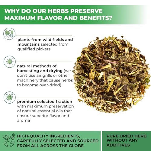 Image of 4 oz. Dried Nettle Leaf Tea Ortiga Planta Nettle Herb Bulk Stinging Nettle Leaf Herb Tea (Urtica dioica) - 113g Stinging Nettle Leaves Herbal Tea ortiga verde te