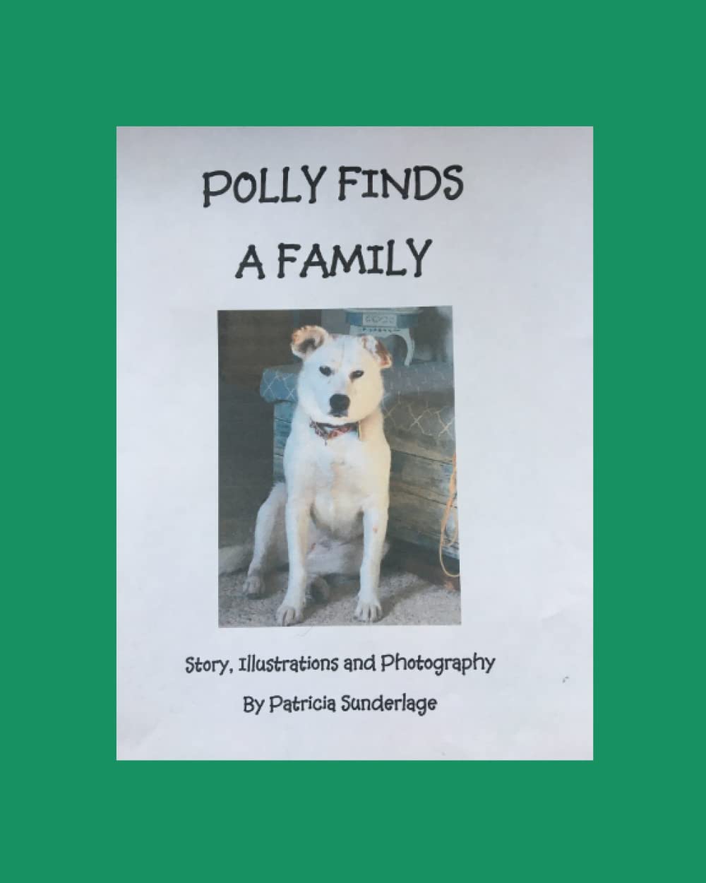 Polly Finds A Home