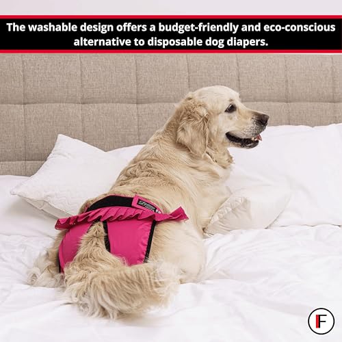 FINNERO Ballerina Läufigkeitshose für Hündinnen – Hundewindel mit Rock für Hündinnen – Schutzhose bei Läufigkeit und Harninkontinenz – Bequem, waschbar und stylisch – S, Beige