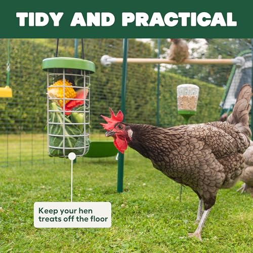 Image of Omlet Caddi Chicken Treat Holder | Attaches Easily to Any Chicken Run | Durable and Practical | Fresh and Healthy Chicken Feeder | Interactive Fun for Your Chickens