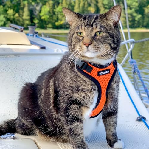 Image of Voyager Escape-Proof Step-in Lock Cat Harness & 5ft Neoprene-Handle Leash Set All-Weather Mesh with Reflective Stitching for Small to Large Cats by Best Pet Supplies, Orange /Black Trim, XXXS