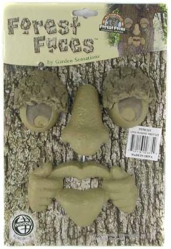 Little Prankster Forest Face