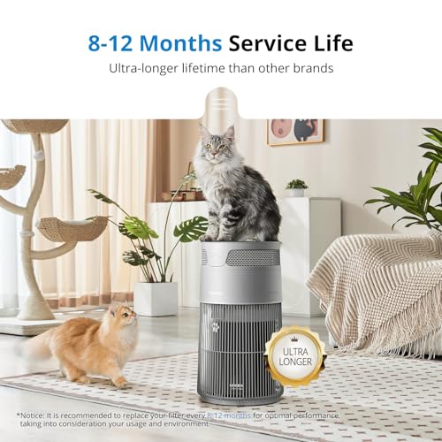Image of WiseHEPA Carbon Replacement Filter Compatible with WS360A Air Purifier, 9.33 inchL x 9.33 inchW x 10.39 inchH, Removes Pollen, Dust, Smoke, 1 Pack, White, Coverage 1644 sq.ft