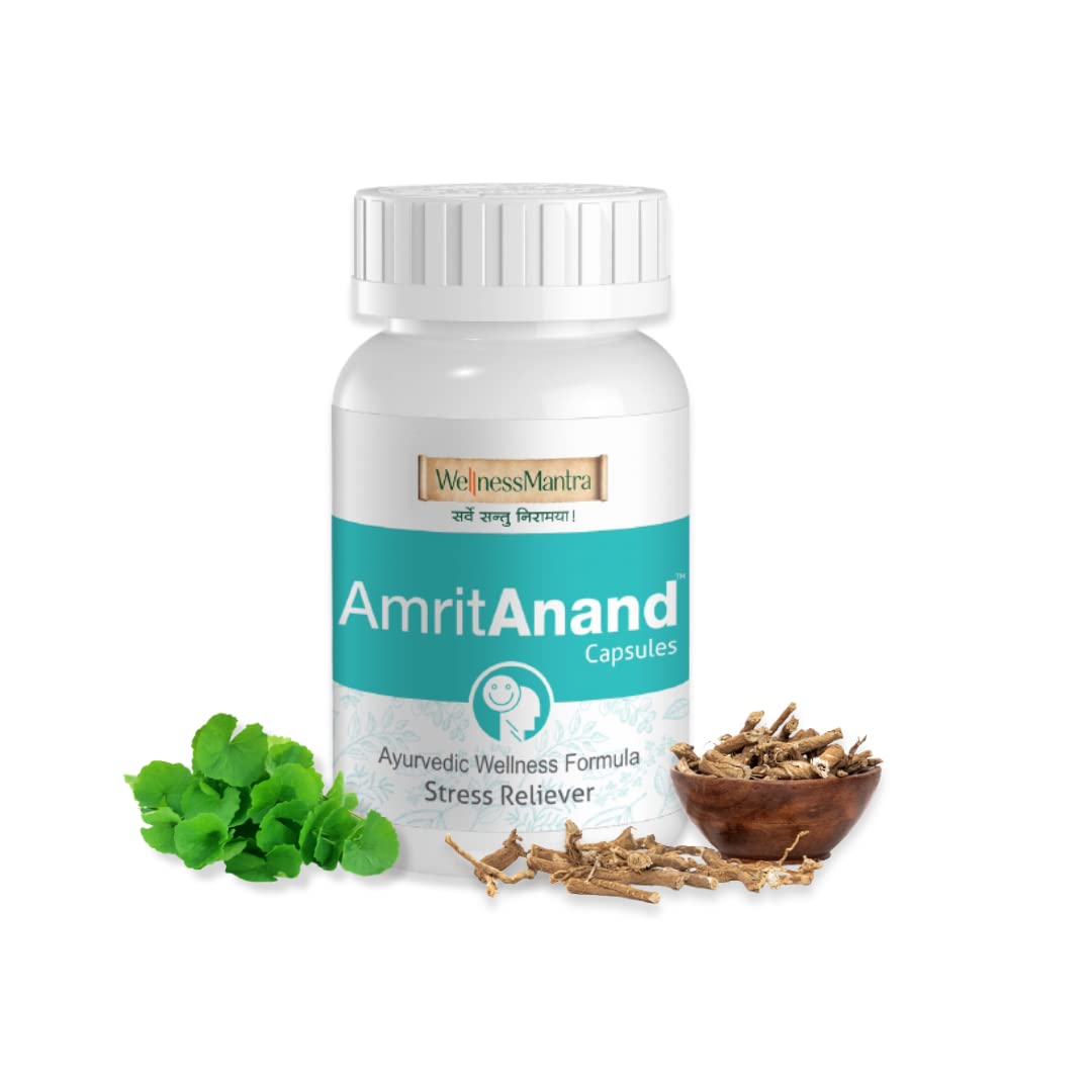 Wellness Mantra AmritAnand Ayurvedic Stress Relief Capsules | Herbal Support for Stress, Anxiety & Tension | Ashwagandha, Brahmi, Jatamansi & others | 60 Capsules (Pack of 2) (B0BYZPHTHN) Amazon Price History, Amazon Price Tracker