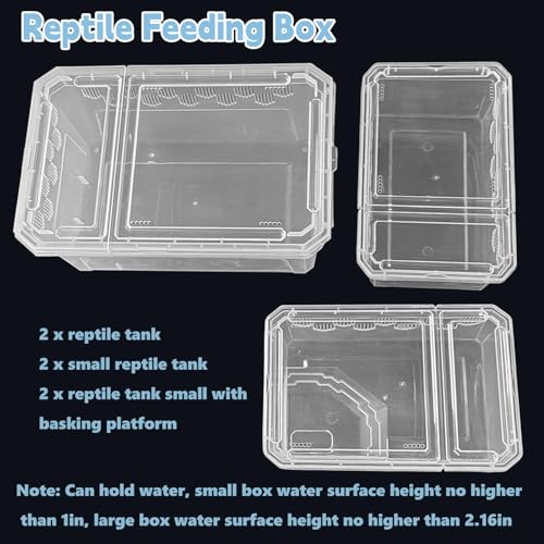 Image of PINVNBY Reptile Feeding Box 6 PCS Snake Breeding Box Lizard Cricket Cage Habitat Hatching Container Transparent Portable Critter Keeper for Spider Scorpion Gecko Tortoise Treefrog (2 Large 4 Small)