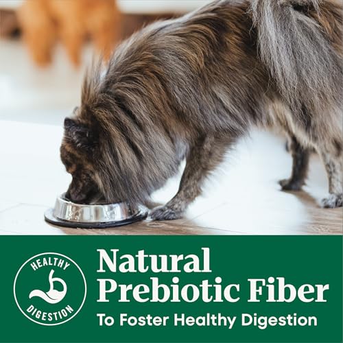 Nutro Natural Choice Senior Small Breed Dry Dog Food, Chicken, 5 lb - image 5