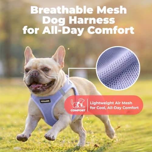 Image of Voyager Step-in Air Dog Vest Harness - Lavender, Small