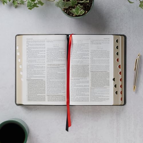 KJV Study Bible, Standard King James Version Holy Bible, Thumb Tabs, Ribbons, Vegan Leather, Gray/Black Two-Tone - image 4