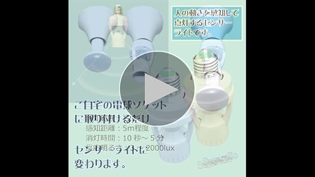 値下げ！！　信楽焼　百合向付 値下げ！！ 信楽焼 百合向付 値下げ！！ 信楽焼 百合向付