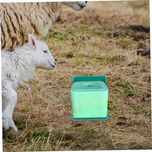 Support sel élevage pour prairies et écuries - Pack de 2 boîtes pour bétail - 7