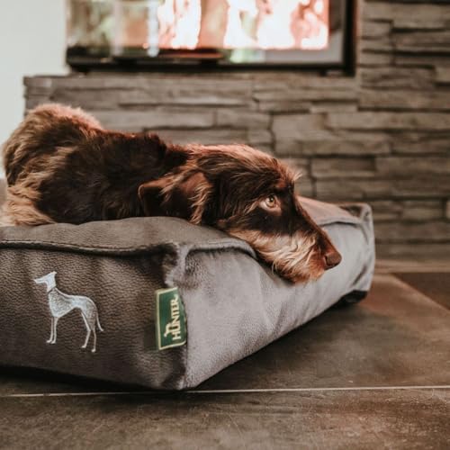 HUNTER Orthopädisches/Ergonomisches Hundekissen Merida Farbe anthrazit, Größe M