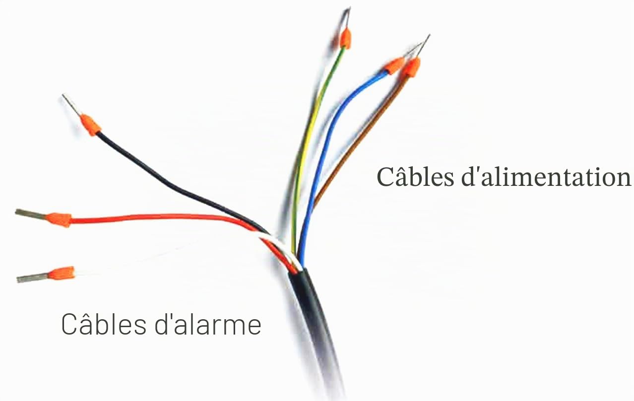 Nébuliseur de condensats modèle CLOUD