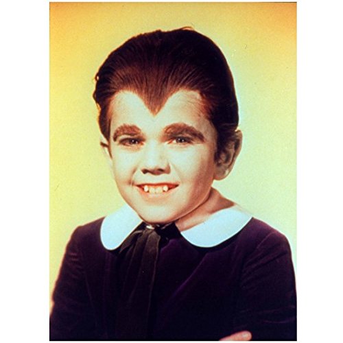 The Munsters 8 X 10 Photo Eddie Munster/Butch Patrick Smiling Looks Like Yearbook Photo kn